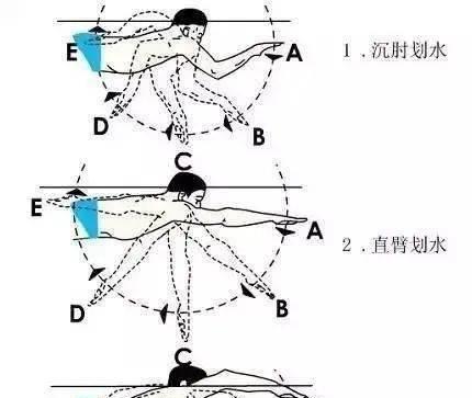 提高游泳技巧，享受水中乐趣（掌握关键技巧，轻松游进快乐世界）