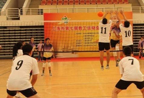 掌握软式排球基本动作，打造高水平技巧（学习软式排球基本动作要领，提升比赛实力）