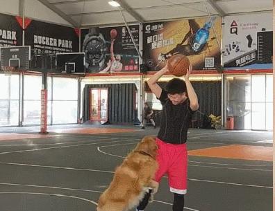 打篮球防守的积极意义（如何在不会打篮球的情况下发挥积极防守作用）