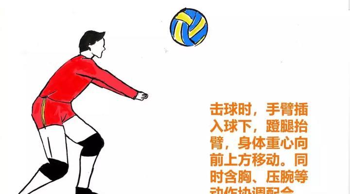 掌握排球垫球的正规动作要领（提高技术水平，打造稳定配合）