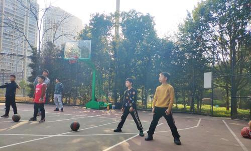 篮球高手之路（揭秘篮球高手的秘密武器，防守技巧！）