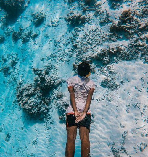 以鱼式游泳观念技巧，掌握高效游泳之道（提升游泳技巧，轻松享受水中乐趣）