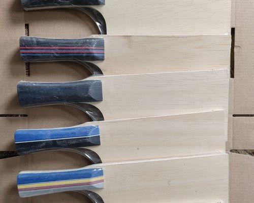 打造个性化乒乓球底板（以个性化底板提升打球乐趣，乒乓球爱好者的最佳选择）