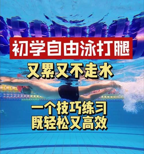 自由游泳长游技巧——释放身心，畅游水域（全面分解自由泳动作，提升游泳技巧）
