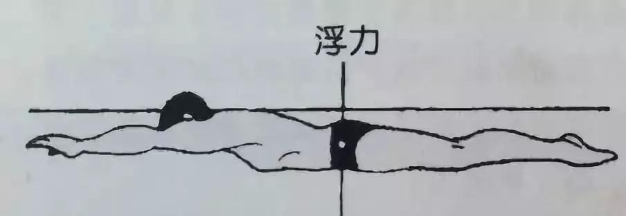 游泳平衡技巧教学（掌握游泳平衡的关键技巧，轻松畅游水中）