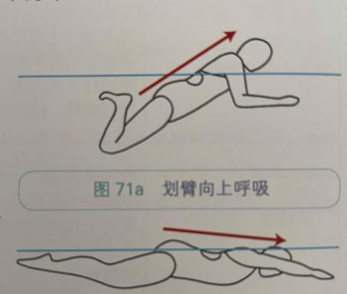 小朋友学游泳（如何帮助小朋友掌握游泳中的换气技巧）