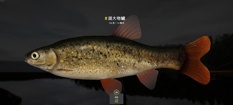 俄罗斯钓鱼游泳技巧大赛（水下的挑战者们，用技巧征服鱼群）