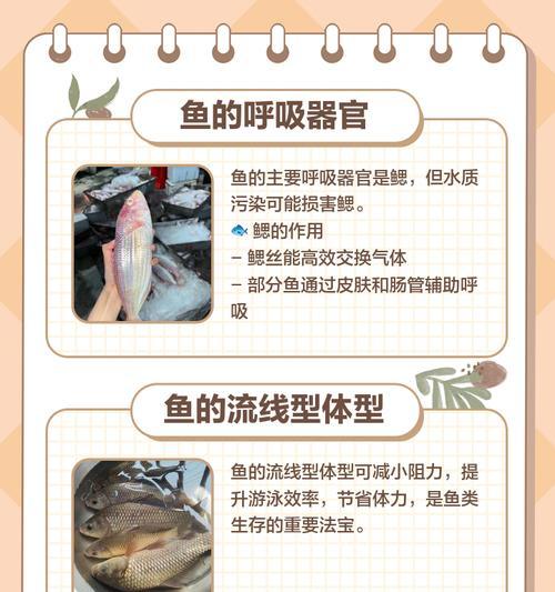 掌握游泳技巧，让鱼儿翩翩起舞（细致入微，鱼儿游泳的奇妙之道）