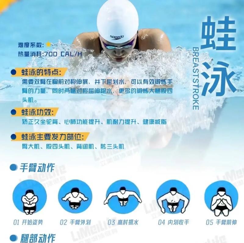 深入了解蛙泳游泳技巧的动作要领（掌握正确的动作，提高蛙泳技术水平）